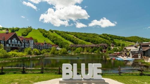 Cerca de lugares turísticos, Candlewood Suites Collingwood By IHG in Collingwood (ON)