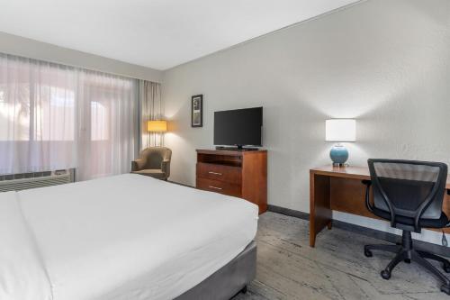 1 king bed