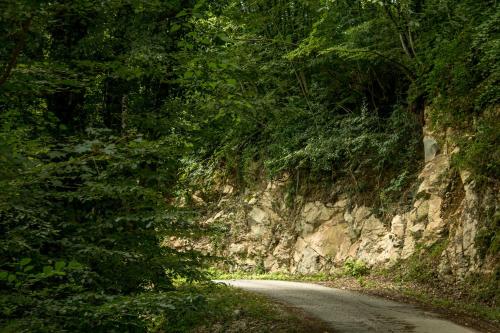 Turistična kmetija Štanfel - image 5