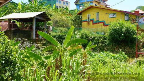 Baey Bōgan Homestay Room Type - Budget Double Room