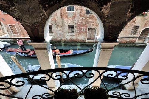 Red Rose, Venice