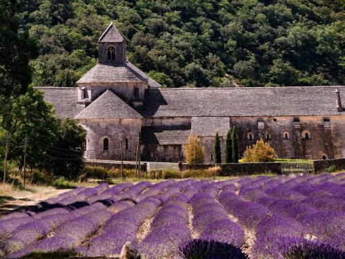 The '60s in the Luberon in Cabrieres-d'Avignon