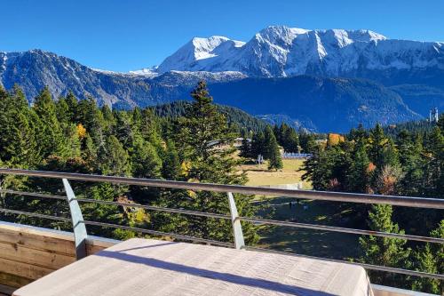 Vue spectaculaire, Appartement T3 pied des pistes, terrasse, parking, 6 pers