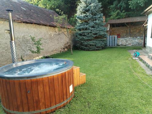 Peldbaseins, Casa Sasca Montana in Saska Montana