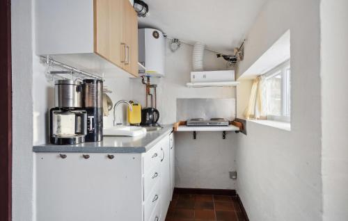 Cocina, Stunning Apartment In Ringkøbing With Wifi in Ringkobing