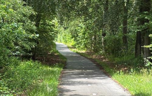 Instalaciones, De Tilgrup - Sfeervol Natuurverblijf aan het Drents-Friese Wold in Wateren