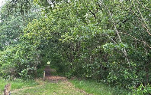 Instalaciones, De Tilgrup - Sfeervol Natuurverblijf aan het Drents-Friese Wold in Wateren