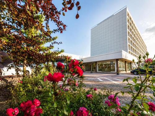 Sunday am Main Taunus Zentrum Frankfurt Sulzbach, Frankfurt am Main