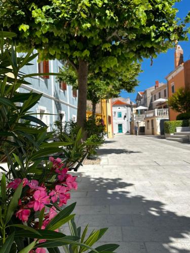 A környék, Biba Holiday in Omišalj