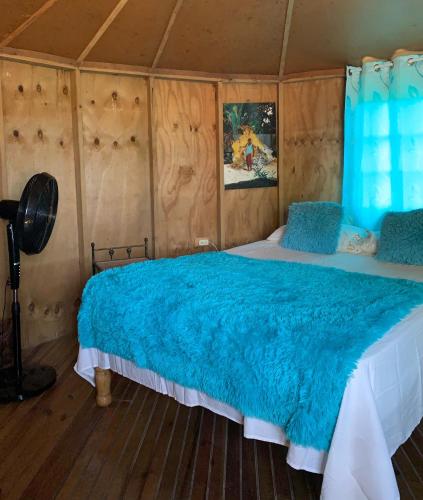 Ackee Tree Rustic Cottage in Drapers