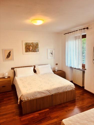 Casalaguna in Lozzo Cadore