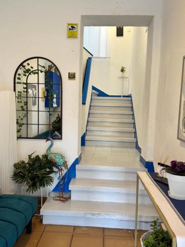Hostal El Torero 5