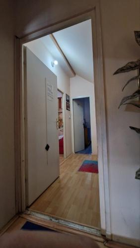 Aleksinac Centar Two-Bedroom Apartment in Aleksinac