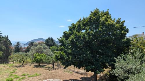 Udsigt, Villa Anastasia - Private resort in an olive grove in Iraklitsa