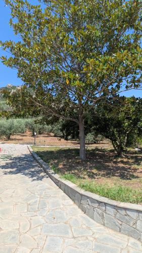 Udsigt, Villa Anastasia - Private resort in an olive grove in Iraklitsa