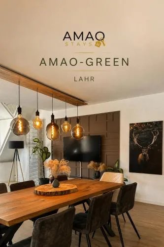 AMAO-Green - Penthouse Maisonette - Large Terrace - City Center in Lahr, Deutschland