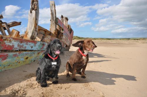 View, Molesworth Barn in Littleham