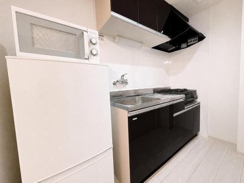 кухня, Excel 平岸A -FIX HOME- in Hiragishi