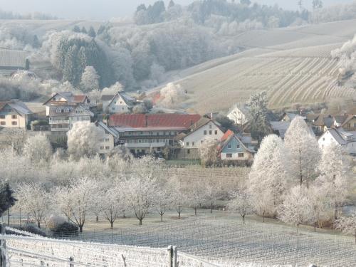 Hotel Faxe Schwarzwälder Hof