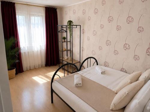 Cozy studio alba iulia