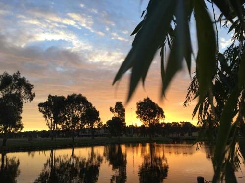 Junee Tourist Park