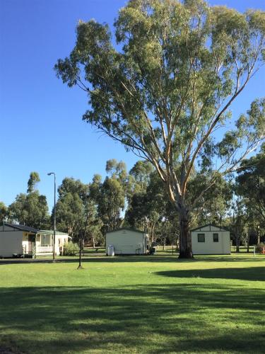 Junee Tourist Park