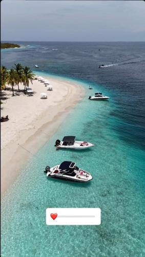 Caribbean Suites Morrocoy Private island Wi-Fi in 투카카스