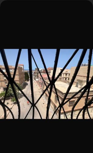 La perle de salamandre in Mostaganem