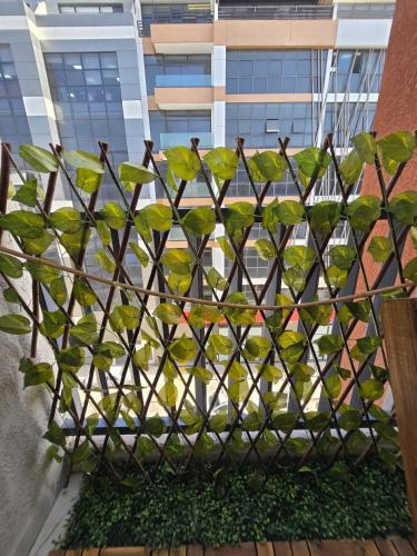 Modern and Cosy Studio in Casablanca 2km from train station Free parking in 羅切斯諾雷斯