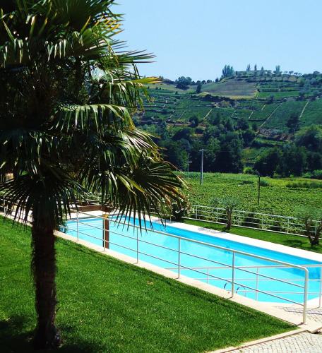 Solar Quinta da Portela - Douro - image 7