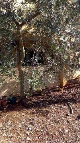  Apartment Bruna in Bužinija