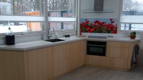 keuken, Het Findament Tiny house in Achttienhoven-Westbroek