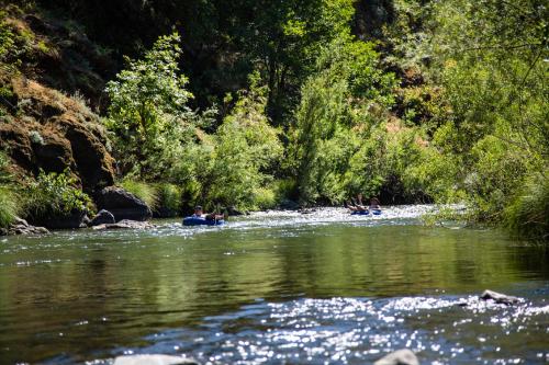 Russian River Camping Resort One-Bedroom Cabin 2 - image 6