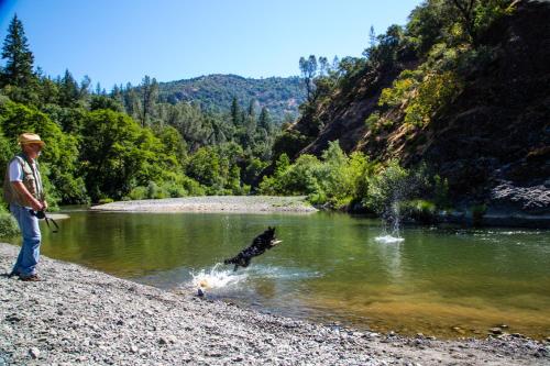 Russian River Camping Resort One-Bedroom Cabin 2 - image 8