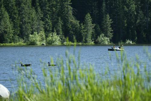 Facilities, Snowflower Camping Resort Wheelchair Accessible Cottage 8 in Glenbrook (NV)