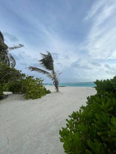 Bahee Dé Lite (Bahee De Lite) in Haa Dhaalu Atoll