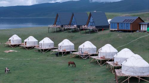 Yurt Camp by Fly Service in Tuz