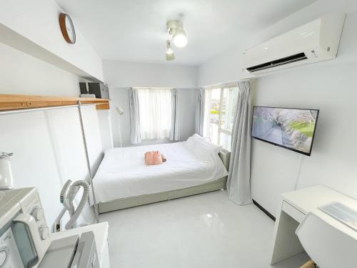 Kameari 1111 Newly Renovated High Floor City View 2min to Mall 5min to Station Disney Access, Tokio