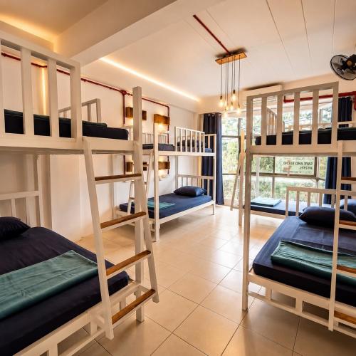 Bunk Bed in Mixed Dormitory Room