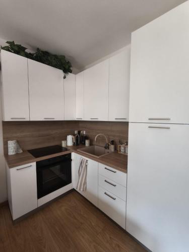Apartament BARBARA in Branzi