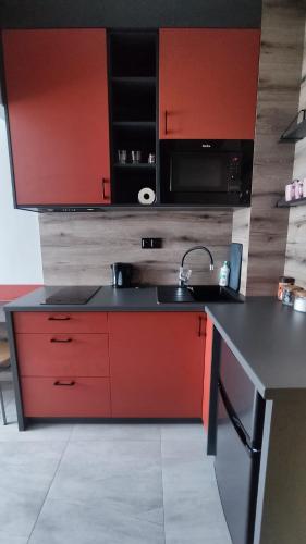 кухня, Apartament Spoko Room 22 Szczytno in Щитно