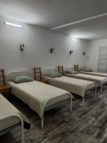 Hostel Korona in Pischanka Village
