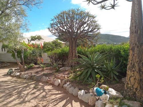 Springbok Lodge & Restaurant in O'Kiep