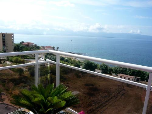 Bel appartement vue mer