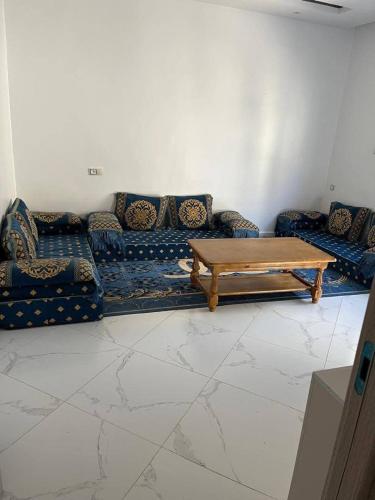 Salamandre in Mostaganem