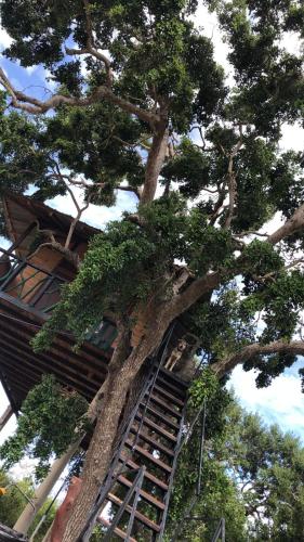 The Campers Lodge Yala