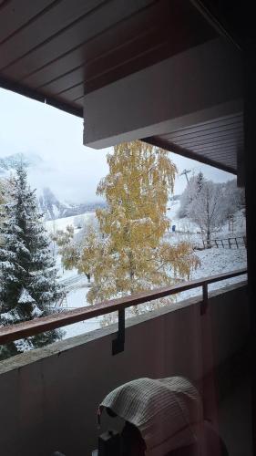 trip des neiges