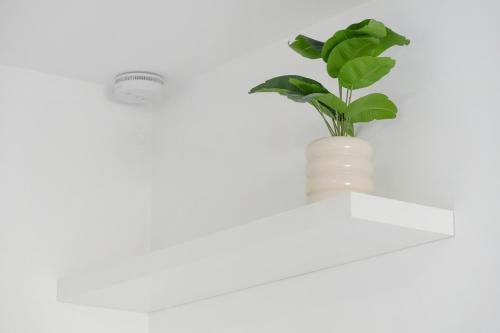 Cosy and Central - image 5