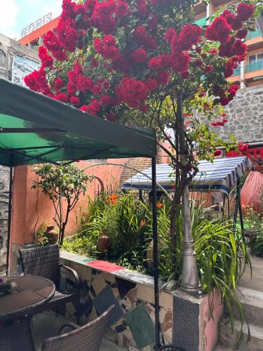 Lovely Goris Hostel in Goris