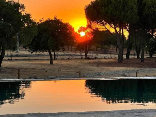 Kochab Alentejo in Alpalhao